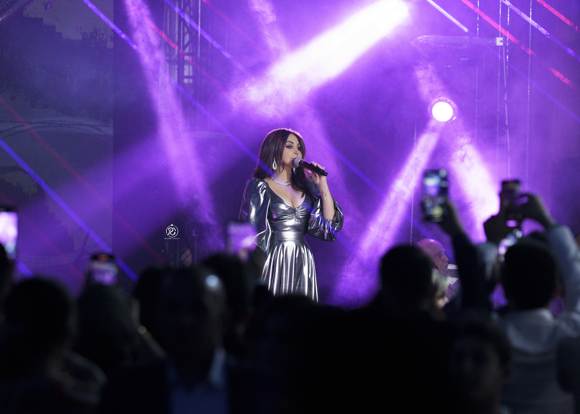 Elissa Concert Erbil 3