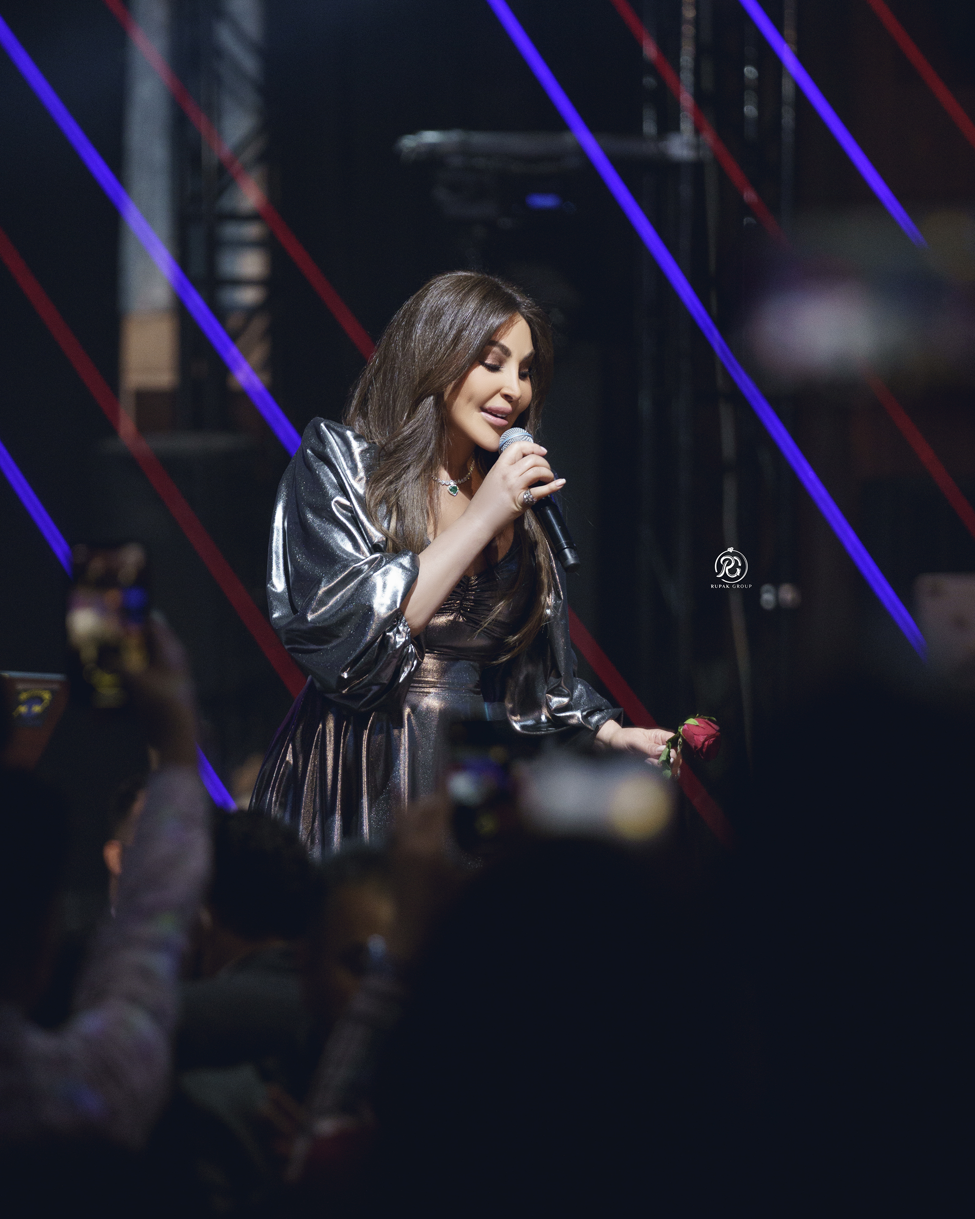 Elissa Concert Erbil 4