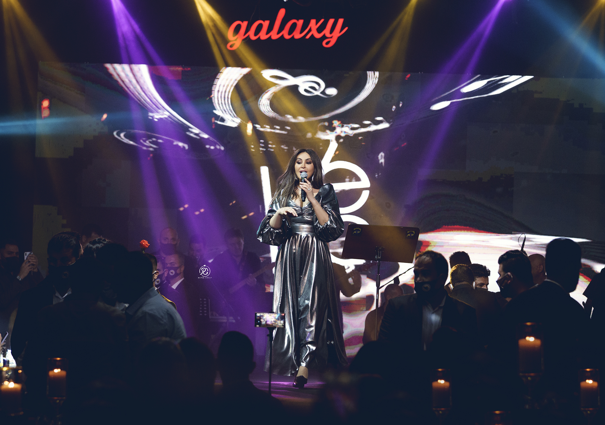 Elissa Concert Erbil 7